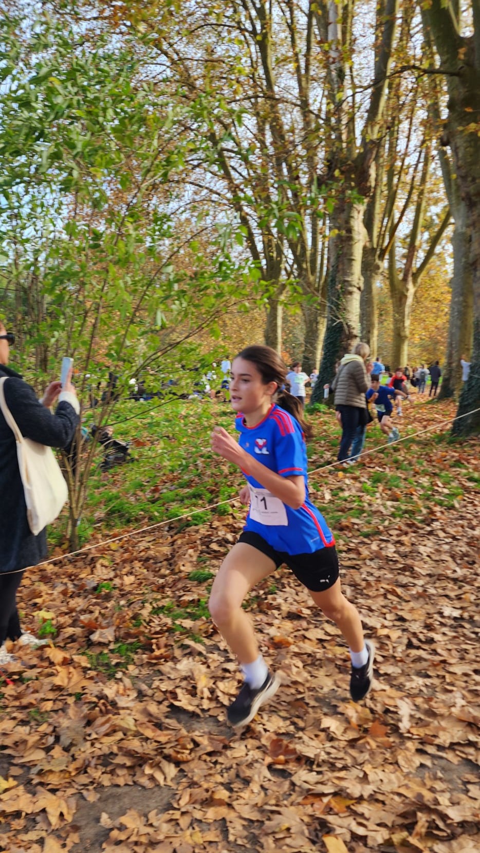 Consulter cet article