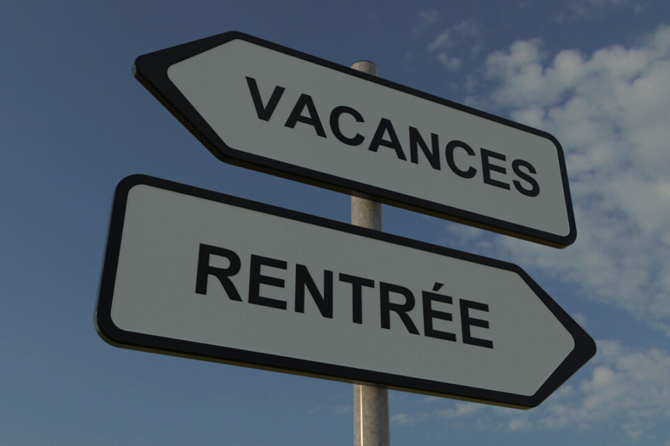 Consulter cet article